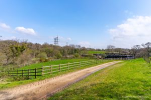 Photo 7- click for photo gallery